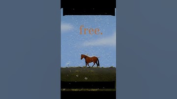 Thumbnail of Free🪽#peace #bollywood #music #love #song #viral #youtubeshorts #trendingshorts #hit #coversong