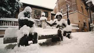 ALCALÁ NEVADA. LOS EFECTOS DEL TEMPORAL FILOMENA EN LA CIUDAD PATRIMONIO.