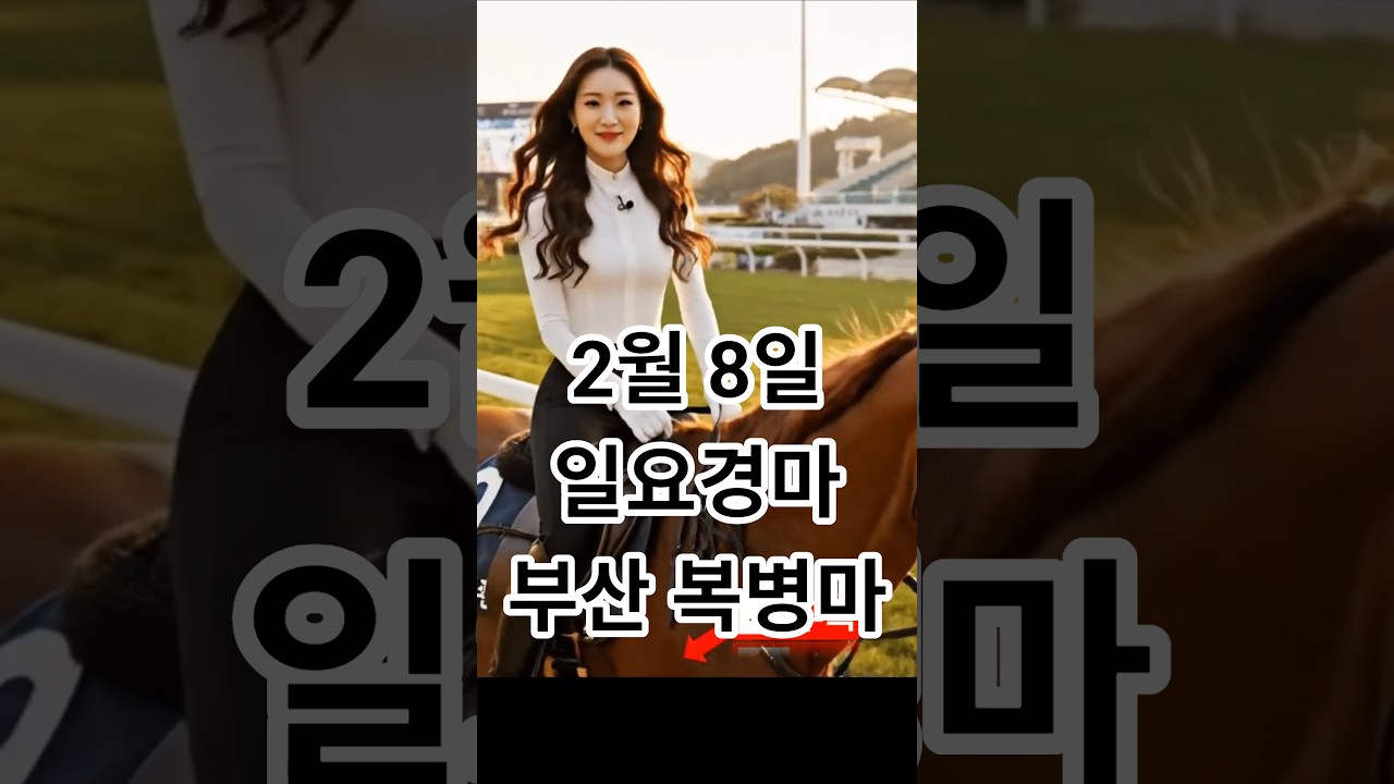 2월8일【일요경마】부산경마👌복병마해설😊경마예상💥하이라이트🐎다크호스경마⚡경마예상👌경마🎈경마장😊경마방송🐎경마예상방송🫏경마하이라이트🥎경마예상 실시간🚩경마예상가🏐경마정보💥경마공원⚾경마배팅