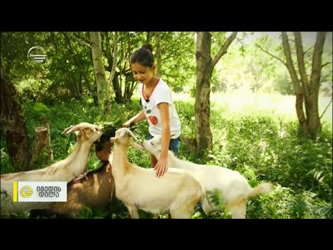 პატარა ფერმერის დიდი გეგმები