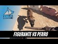 Figurante vs perro  zona k9