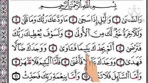 سورة الضحى مرتلة بصوت القارئ / عمر حامد