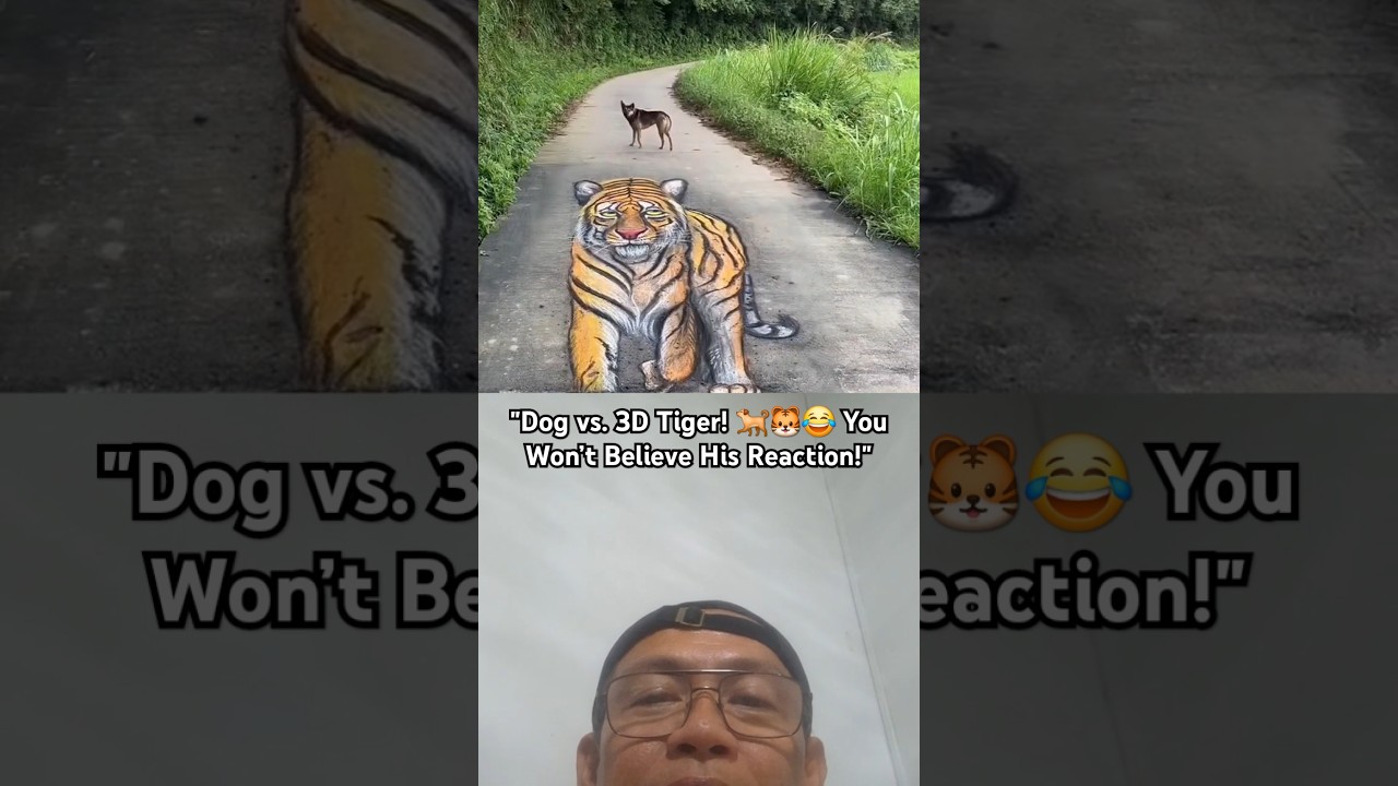 Drew a 3D Tiger on the Street — The Dog Got Scared! 🐯😂 