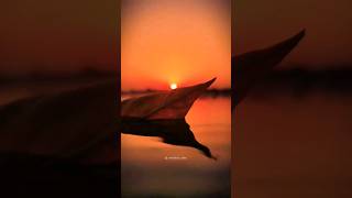 Ek Pyar Ka Nagma Hai  Jagjit Singh  Status  shorts s old love