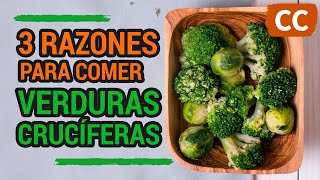 3 RAZONES PARA COMER VERDURAS CRUCÍFERAS | Ciencia de la Comida by Ciencia de la Comida 1,473 views 5 months ago 7 minutes, 46 seconds