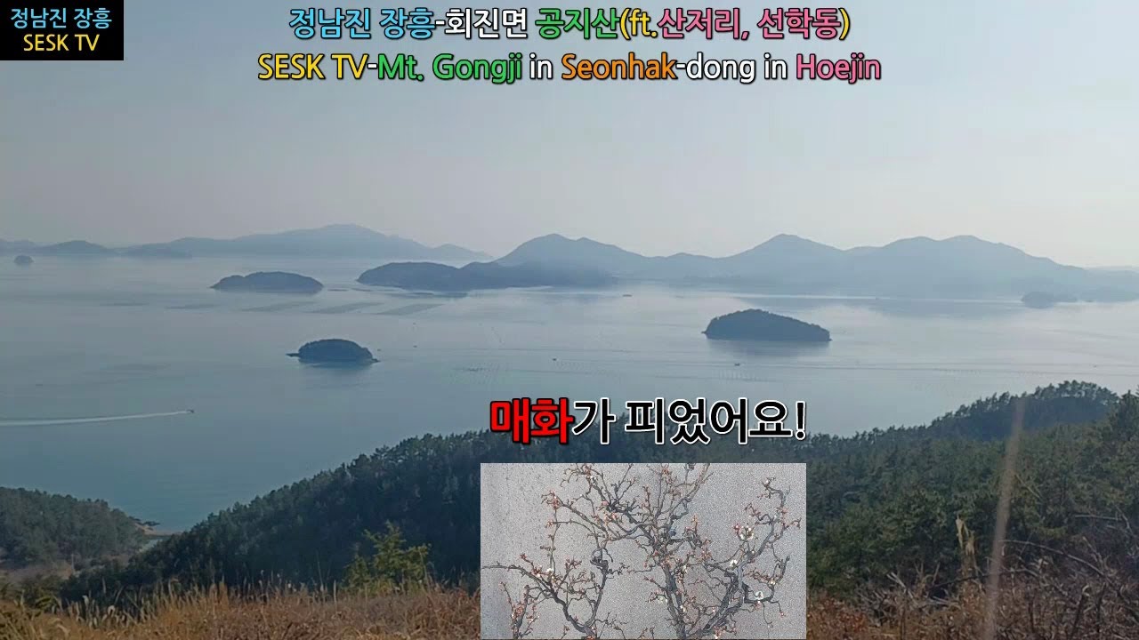 정남진 장흥-회진면 공지산(ft. 산저리, 선학동)