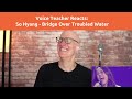 Voice Teacher Reacts: So Hyang - Bridge Over Troubled Water