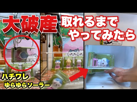 大破産】これやばいwww今人気のちいかわゆらゆらソーラーを取れるまで