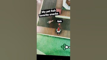 Zelda Tears of the Kingdom ( My pet fish favorite snacks) #zelda #gaming