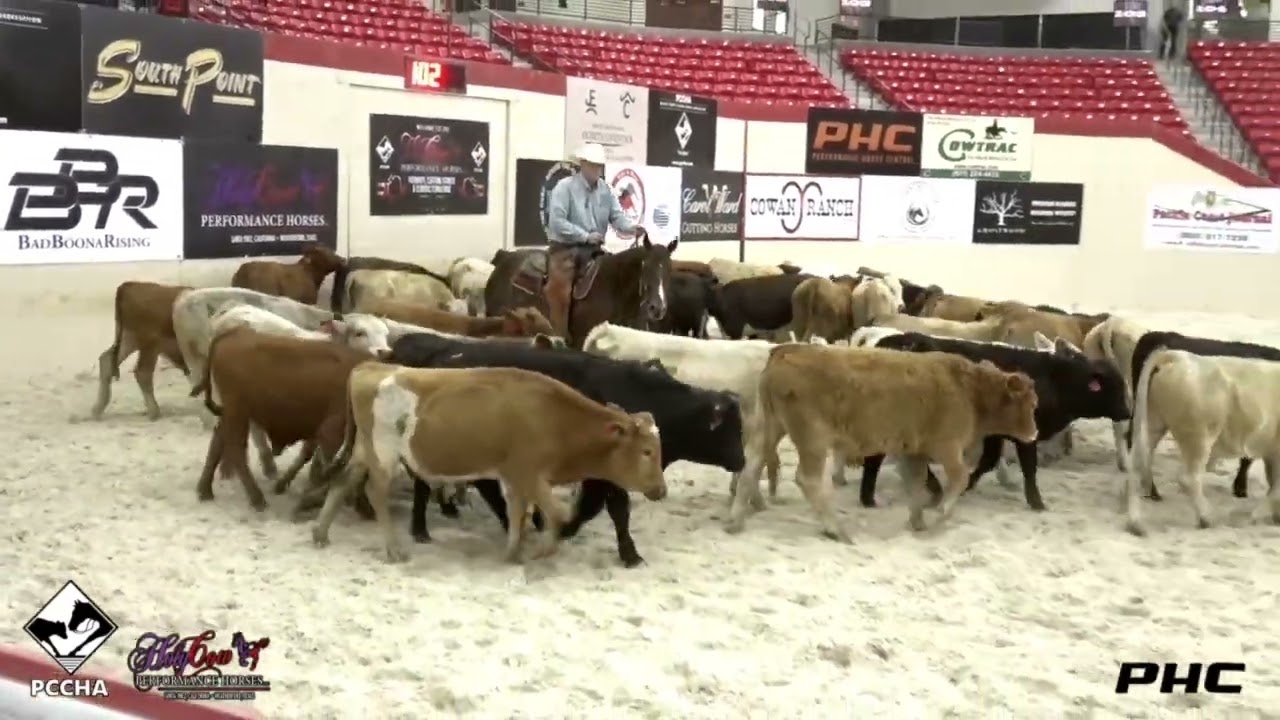 PCCHA Futurity 4YO Open Cutting Stakes Champions - AUSTIN SHEPARD & KITTENNISH