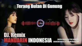 Padang Bulan Di Gunung  DJ Remix Mandarin Indonesia