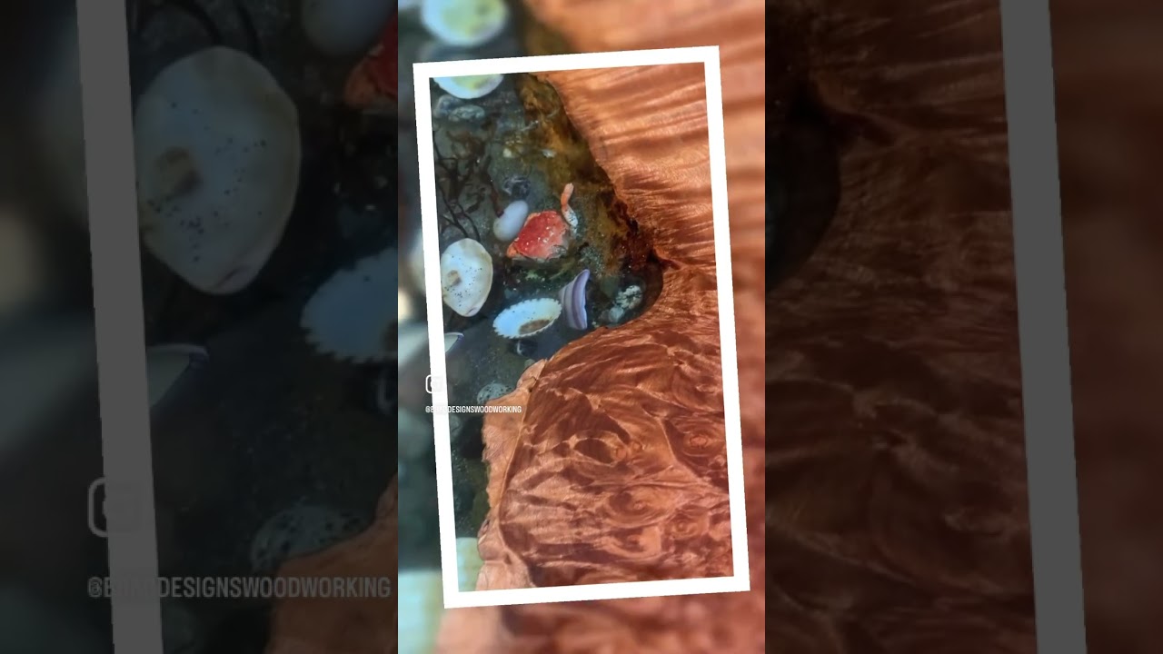 Ocean themed charcuterie board with real rocks & shells in epoxy.