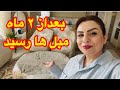 ازاشپزی تا چیدمان مبلمان جدید همراه کارهای روزمره