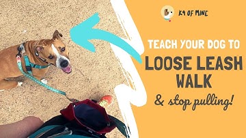How to Stop a Dog From Pulling: The Secret to Loose Leash Walking!