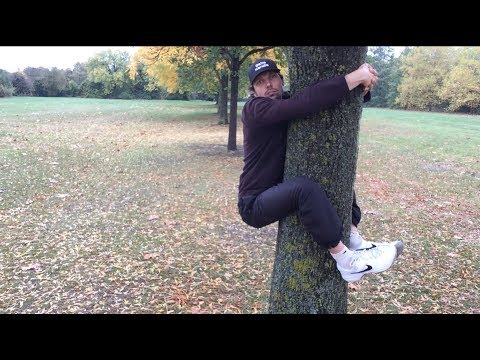 How to hug the trees properly