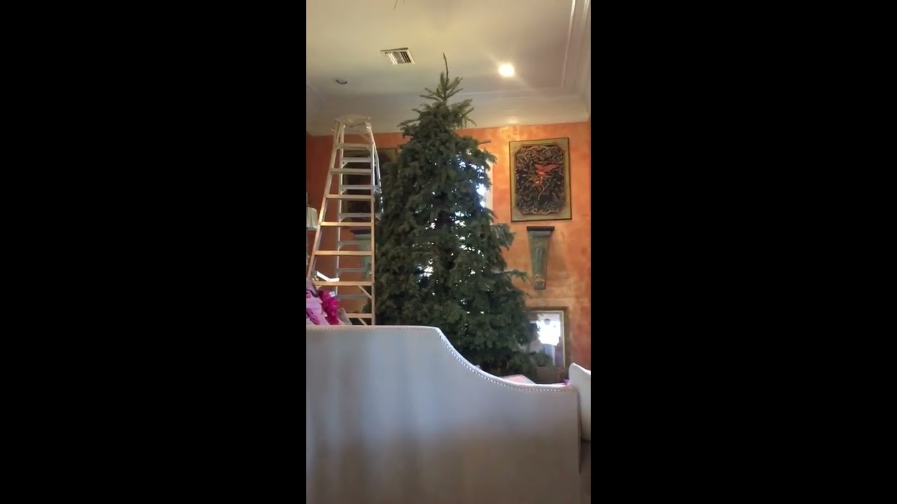 Time To Take Down The Christmas Tree (With A Chainsaw) camera iphone 8 plus apk