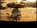 "Life &amp; Life (Acoustic Version)" by Mamu &amp; ASSAN