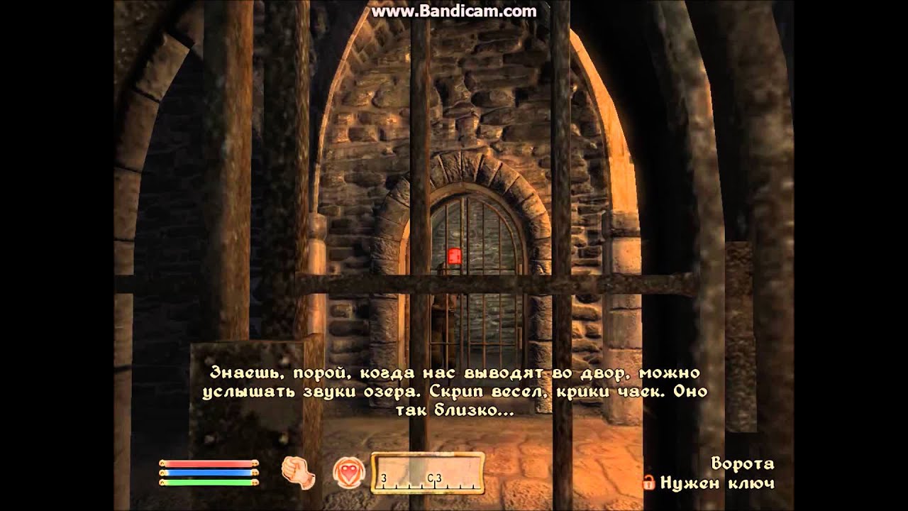 TES IV: Oblivion PC Walkthrough Part 1 - Intro, Tutorial (RUS) - YouTube