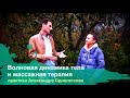 Волновая динамика тела и массажная терапия (практики Александра Однолеткова)