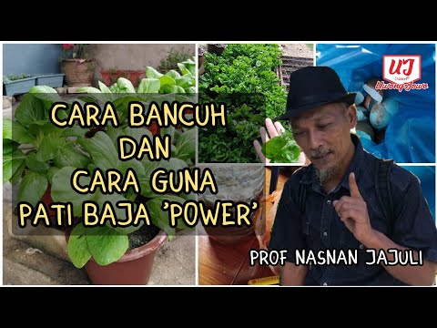 Video: Cara Menggunakan Baja Mineral Dengan Betul