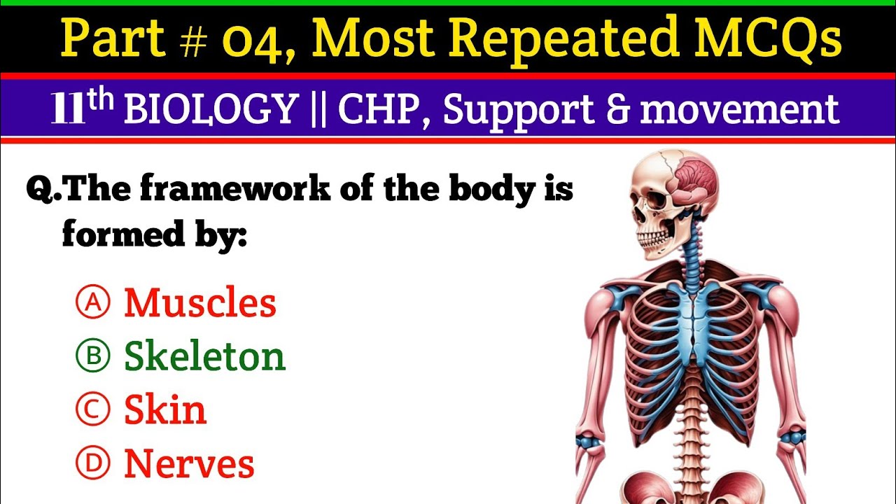 Part #04 || CHP Support and Movement | NEET | MDCAT | PMS | NTS | SST | PST | CT | CSS | IAT| HEC