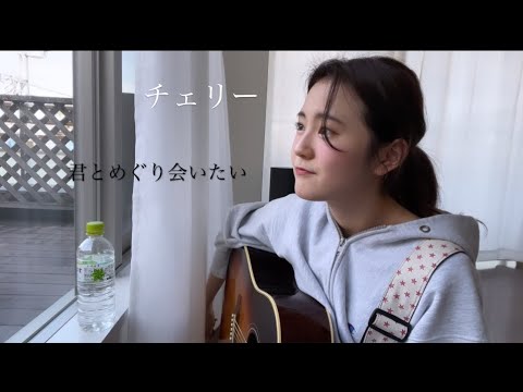チェリー/スピッツ　弾き語りカバー　【冨岡　愛/tomiokaai】