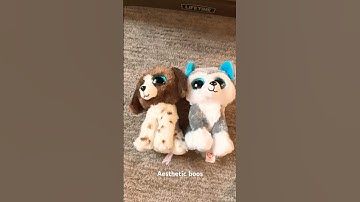 My new beanie boos! (First video) #beanieboos #firstshortvideo