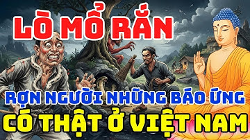 BÁO ỨNG HIỆN ĐỜI: NGHE RÙNG MÌNH QUẢ BÁO LÒ MỔ RẮN MIỀN TÂY - 5 Truyện Nhân Quả 100%