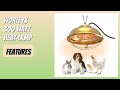 REVIEW (2026): WORLEYX 300 Watt Heat Lamp. Features