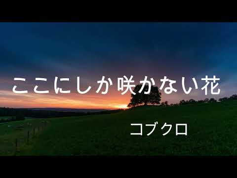 ここにしか咲かない花  (カラオケ)  コブクロ (歌詞字幕付き キー低め)
