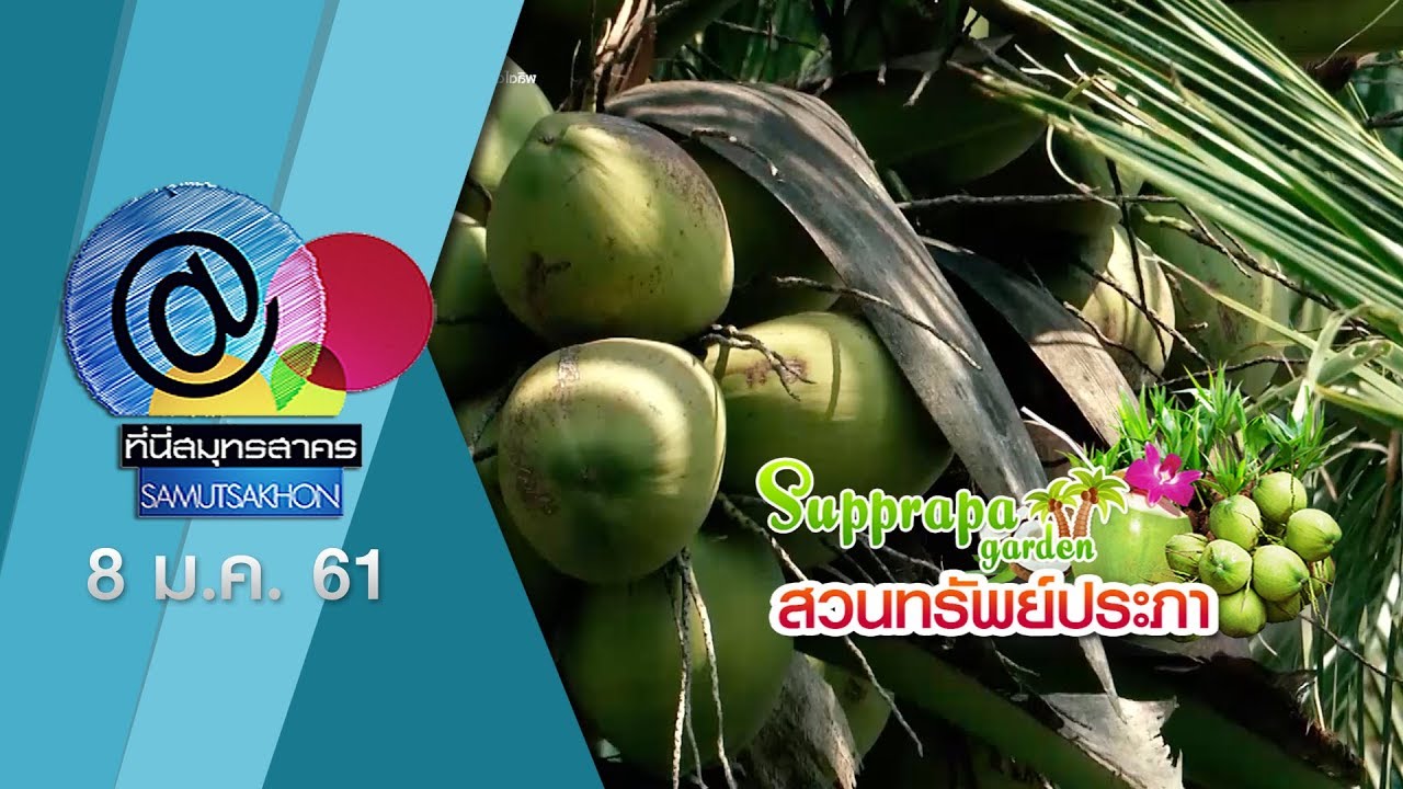 @ที่นี่สมุทรสาคร 