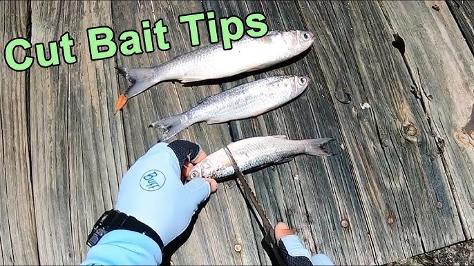 Best Cut Bait Rig For Redfish & Black Drum (When Fishing The Flats) 