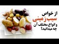 از خواص سیب زمینی و انواع مختلف آن چه میدانید 