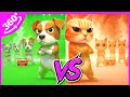 360° VR Montagem Miau | Ay mi Gatito vs Perrito [Letra]