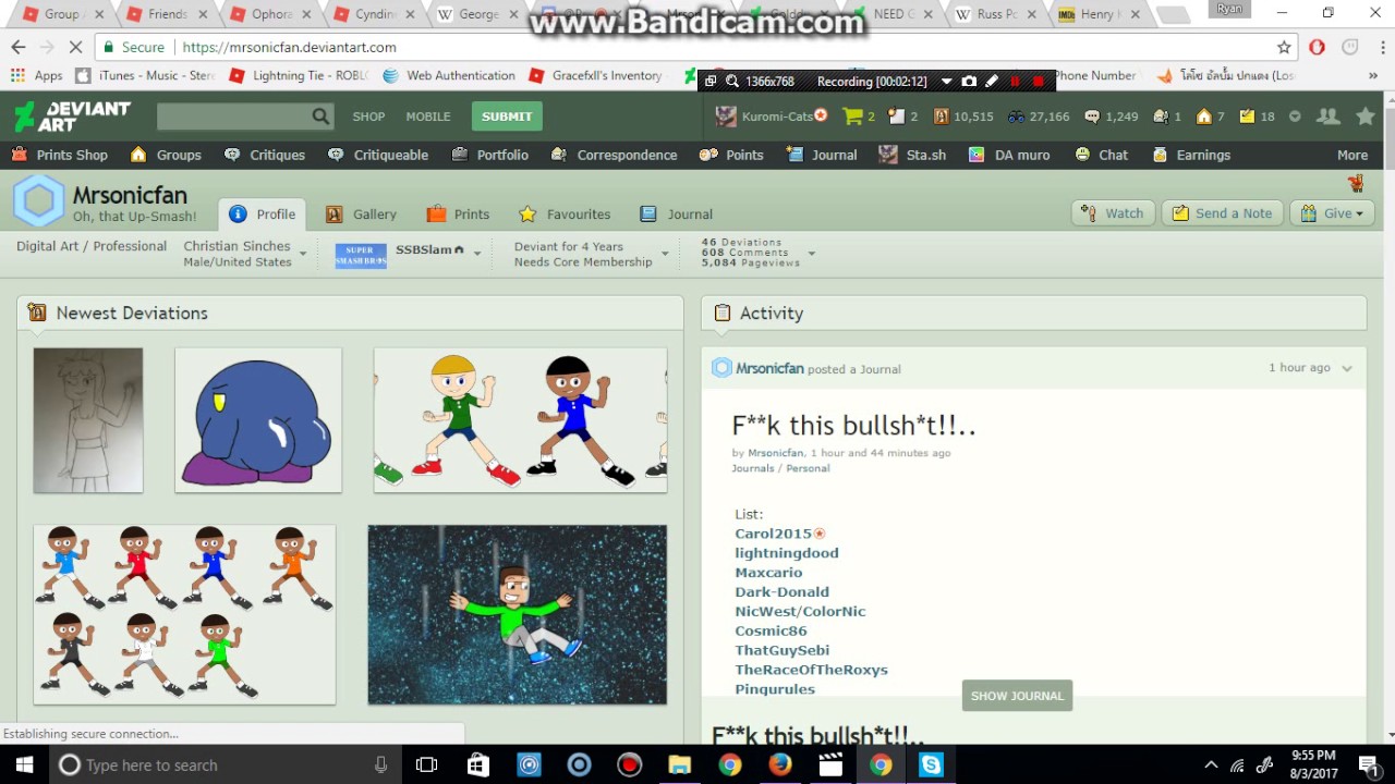 Rant Mrsonicfan Deviantart bullying