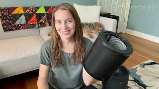 PuroAir 130 Replacement Filter Review - Is the Genuine 2-Pack Worth It