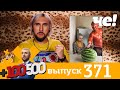 +100500 | Выпуск 371