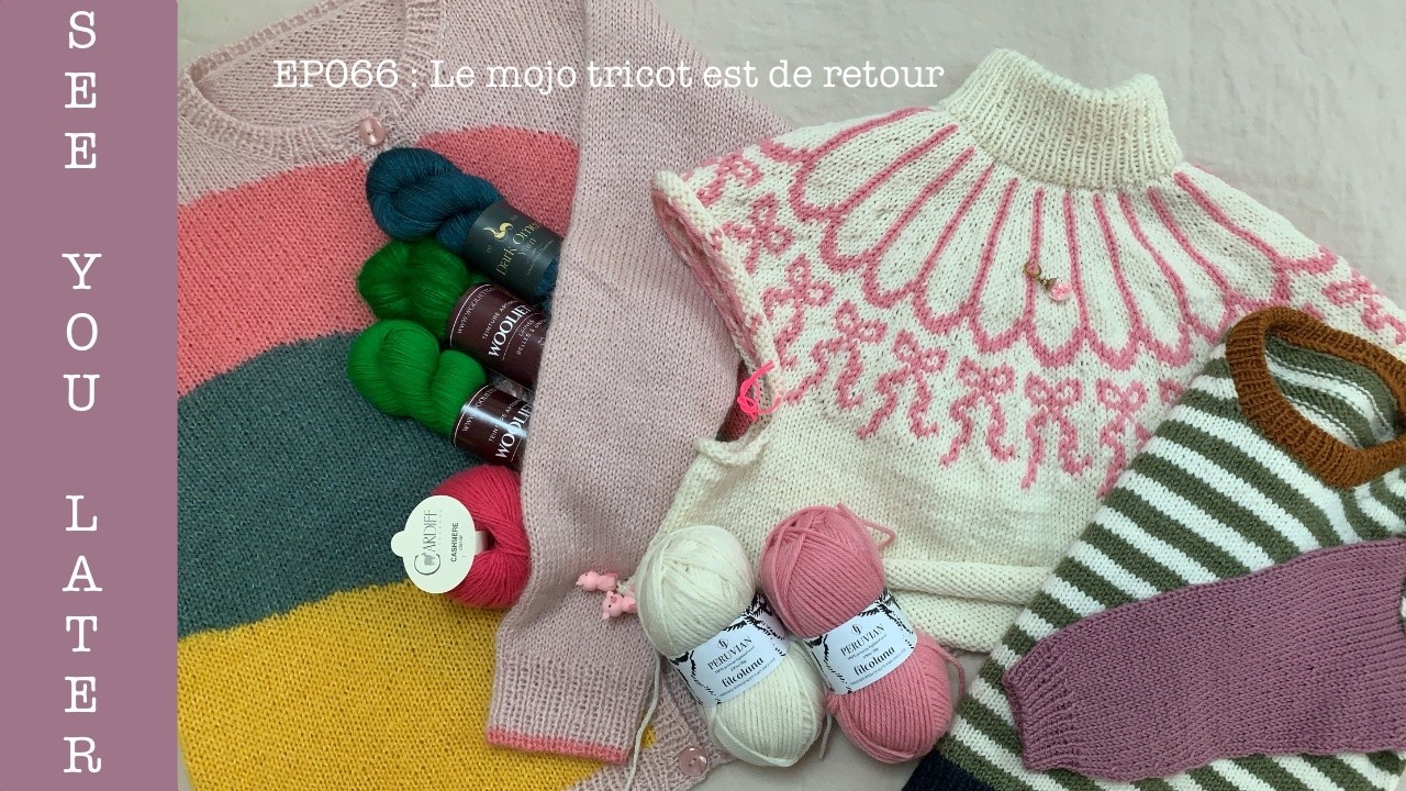 See You Later/Podcast Tricot EP066