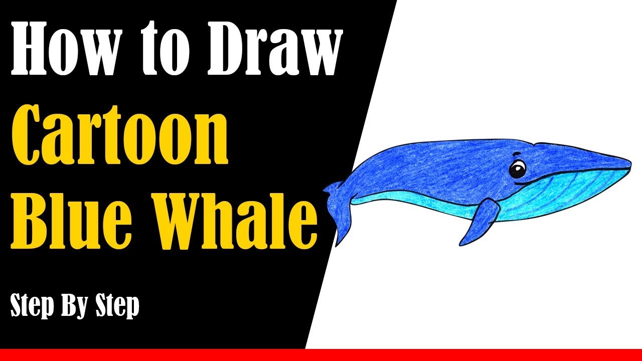 How to Draw a Cartoon Blue Whale Step by Step - very easy - YouTube