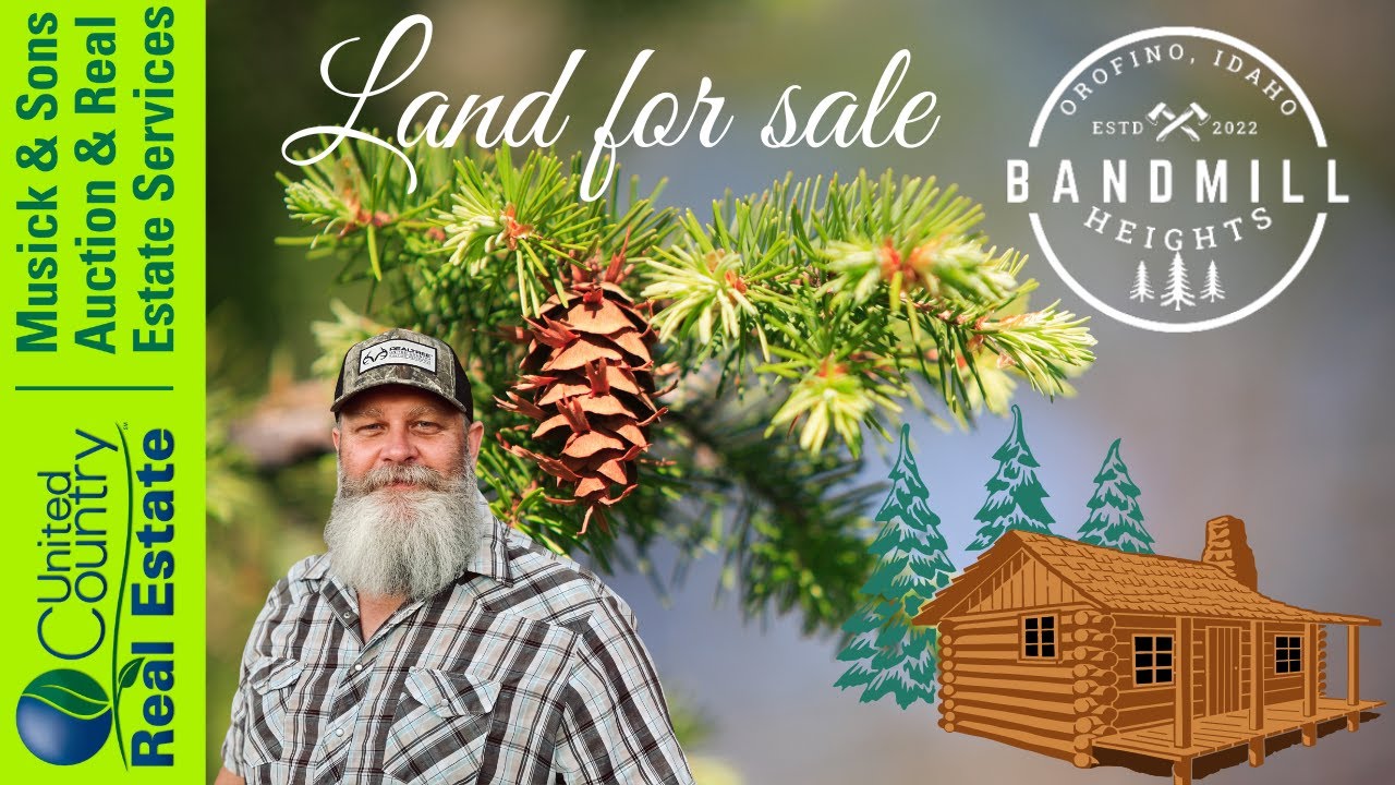 Idaho Mountain property for sale Bandmill Heights Parcel 6 Orofino