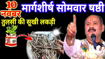 10 नवंबर मार्गशीर्ष सोमवार षष्ठी तिथि को तुलसी की सुखी लकड़ी वाला उपाय जरुर करे || Pradeep Ji Mishra