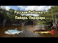 Русская рыбалка 3. Пайара. Пирарара. Квест Редкости.