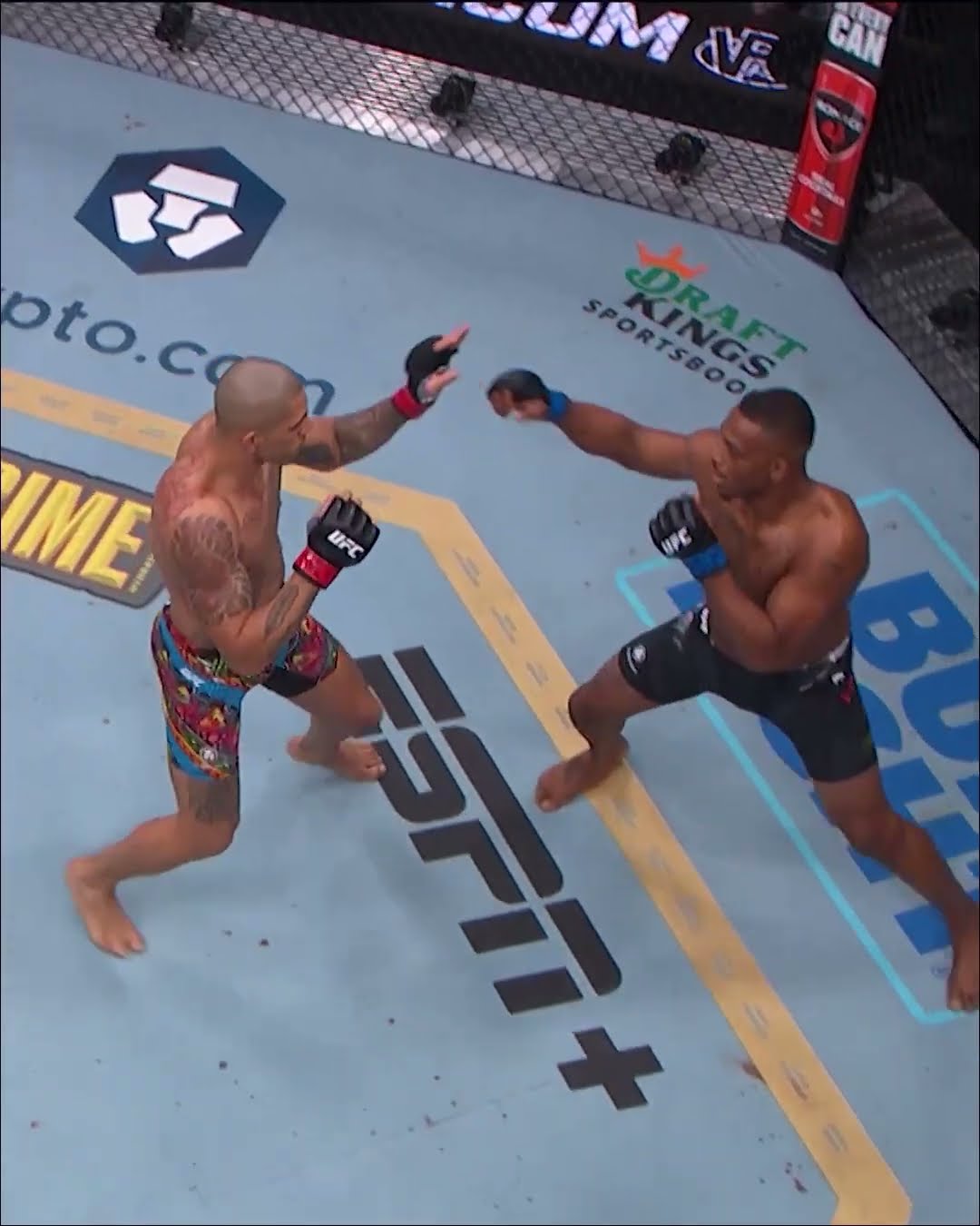 Can Alex Pereira recreate this against Magomed Ankalaev? ? #ufc313