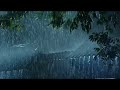 rain and thunder sounds for sleeping- 99% Instantly Fall Asleep With Rain And Thunder Sound At Night