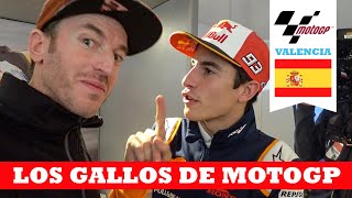 Gran Premio de Valencia | MotoGP | Ibon Zugasti