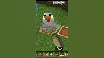 CHICKEN NEST | MINECRAFT BUILD HACK | #shorts #viral #trending