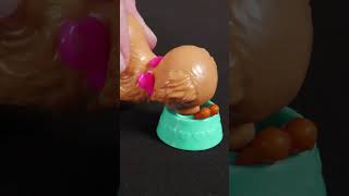 Barbies Best Friend Is Her Pup