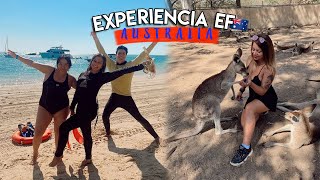 Experiencia En Ef Australia Brisbane Youtube Experiencia En Ef Australia Brisbane Youtube