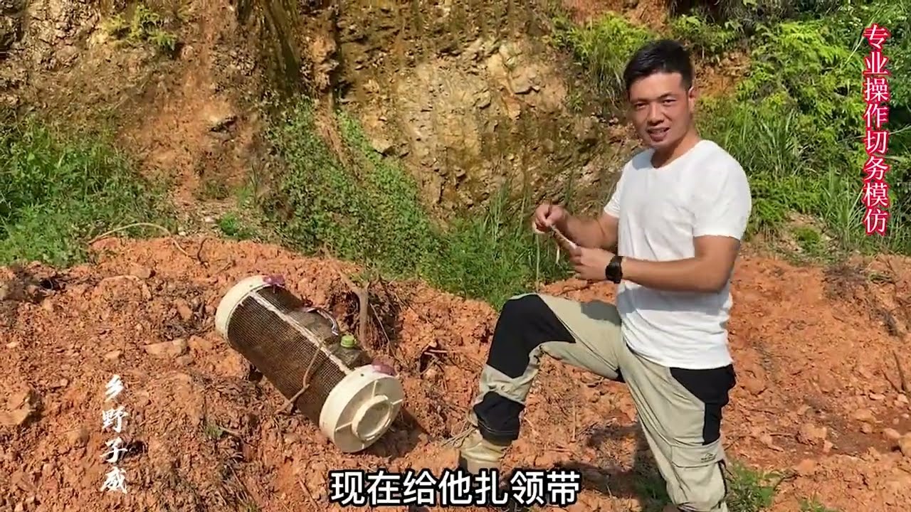 养蜂大哥连夜驱赶虎头蜂，子威闻讯赶来无人机追蜂一标定位，不幸被蛰