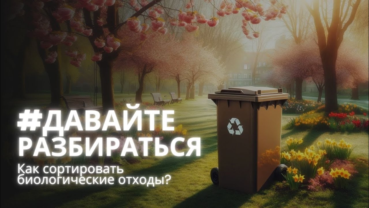 #ДавайтеРазбираться